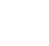 პალიტრა.png