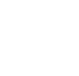 პალიტრა.png