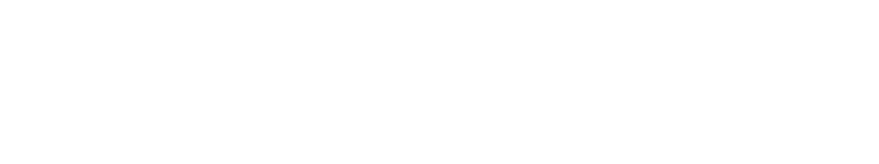 კონცეპტი.png